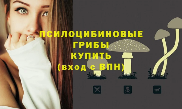 mix Алексеевка