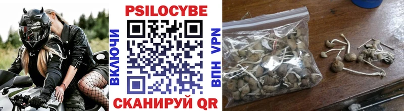 Галлюциногенные грибы мухоморы  купить наркотики цена  Нижний Тагил 