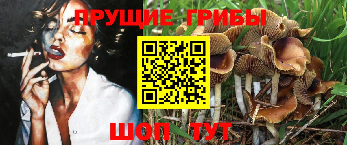 Галлюциногенные грибы Cubensis Нижний Тагил